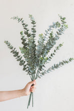 Load image into Gallery viewer, Eucalyptus Shower Bundle
