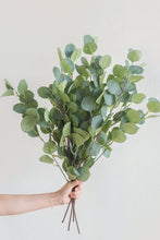 Load image into Gallery viewer, Eucalyptus Shower Bundle
